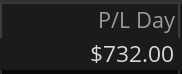Day 12 P&L screenshot