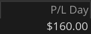 Day 13 P&L screenshot