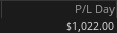 Thinkorswim Day 14 P&L Day screenshot showing a profit of $1,022.00